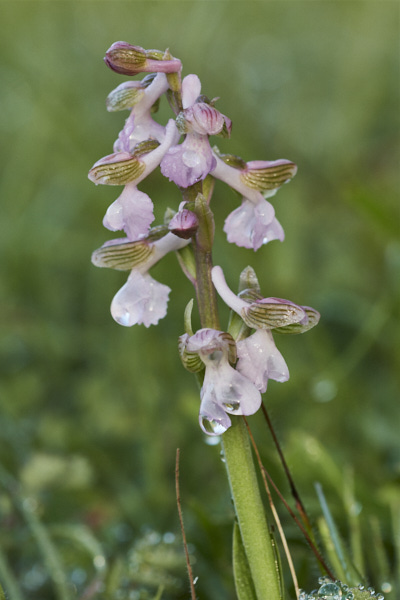 Image from Daneway Banks