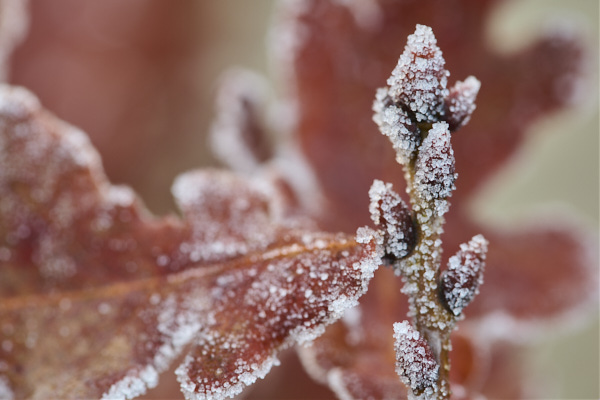 Image from Daneway Banks