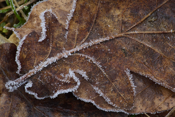 Image from Daneway Banks