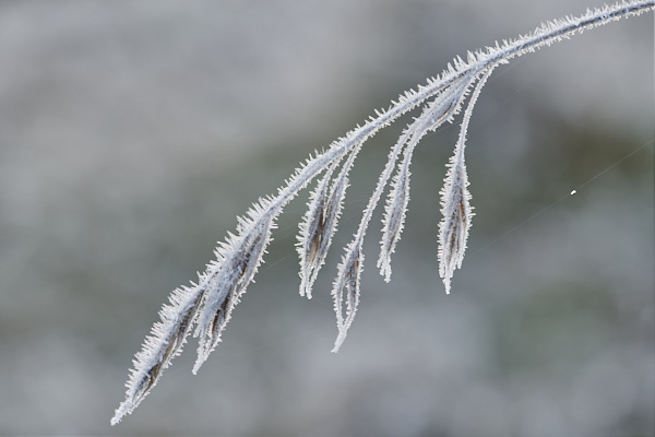 Image from Daneway Banks