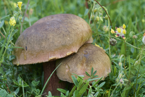 Image from Daneway Banks