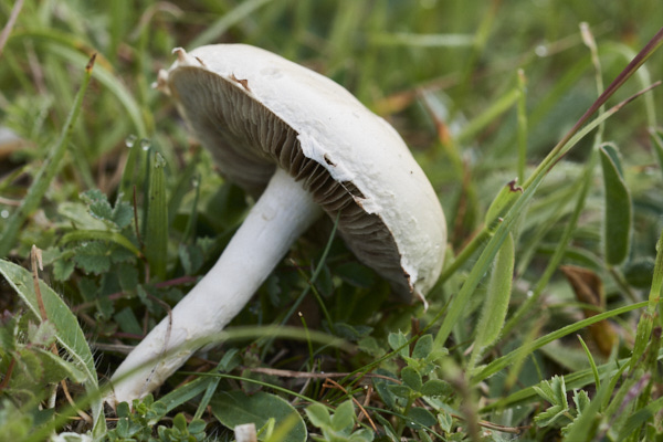 Image from Daneway Banks