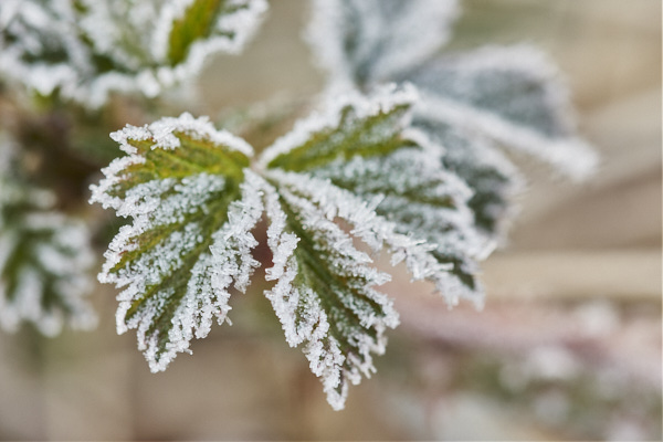 Image from Daneway Banks