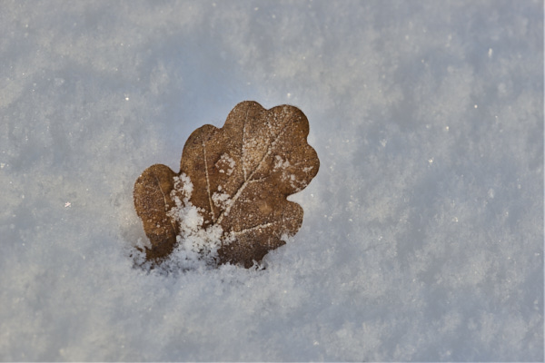 Image from Daneway Banks