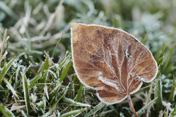 Image from Daneway Banks