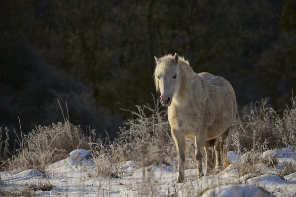 Image from Daneway Banks