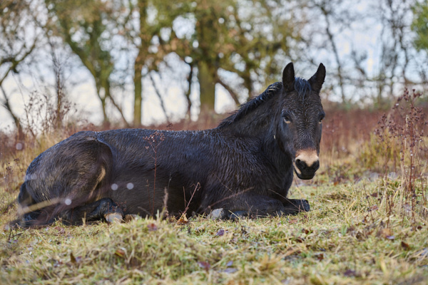 Image from Daneway Banks
