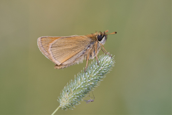 Image from Daneway Banks