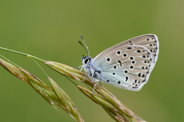Image from Daneway Banks