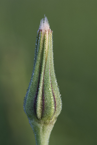 Image from Daneway Banks