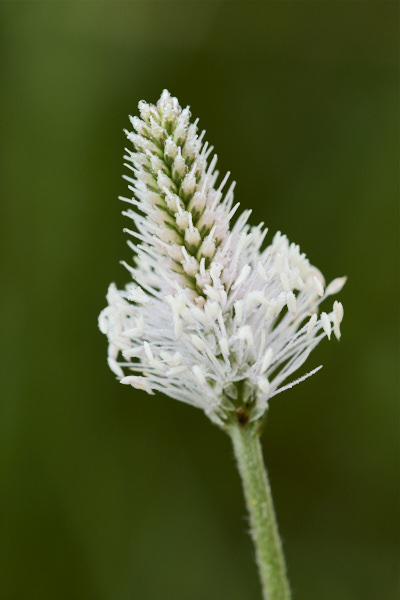 Image from Daneway Banks
