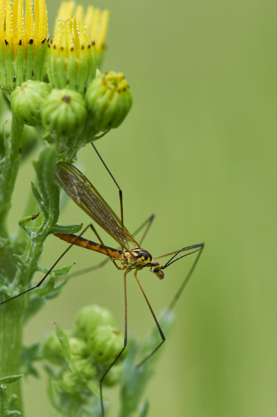 Image from Daneway Banks