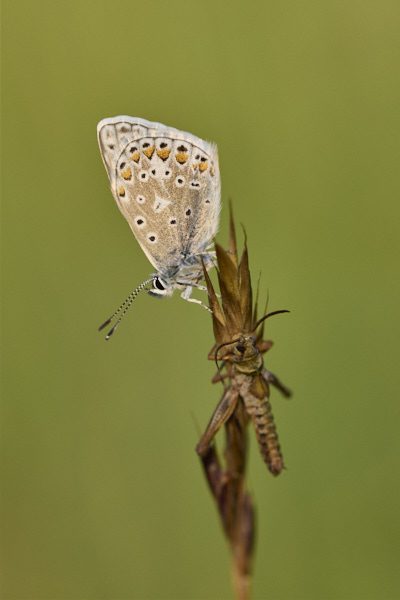 Image from Daneway Banks