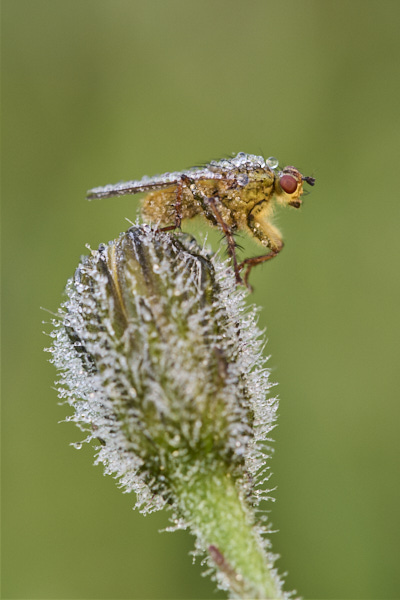 Image from Daneway Banks