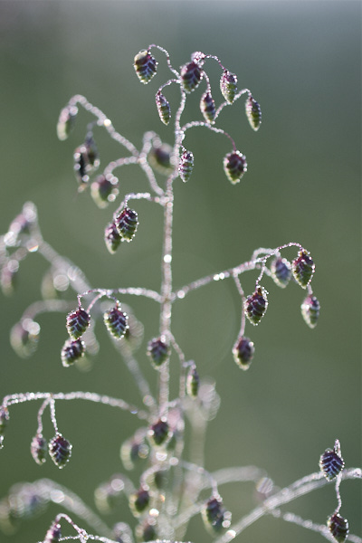 Image from Daneway Banks