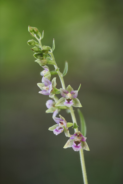 Image from Daneway Banks