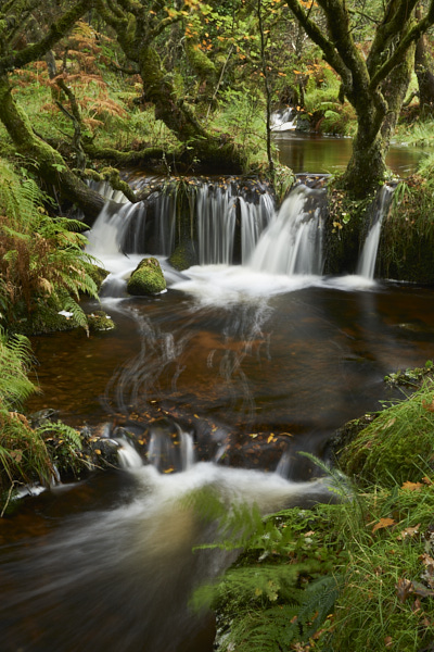 Image of a Dartmoor Stream, Dartmoor