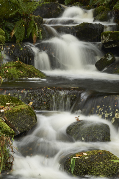 Image of a Dartmoor Stream, Dartmoor