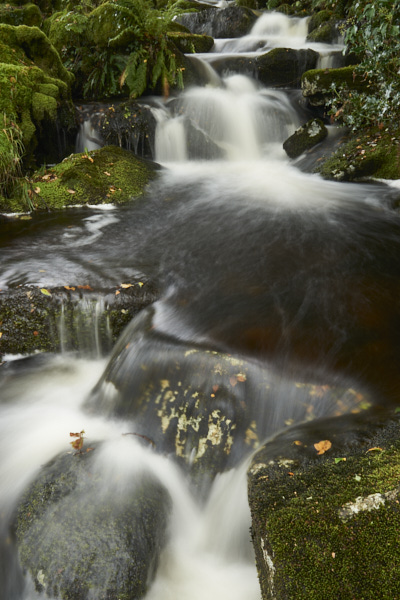 Image of a Dartmoor Stream, Dartmoor