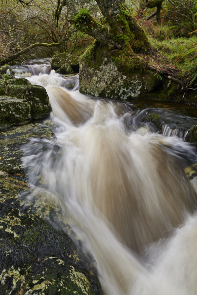 Image of a Dartmoor Stream, Dartmoor