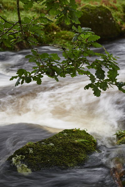 Image of a Dartmoor Stream, Dartmoor