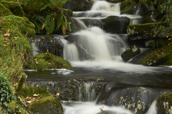 Image of a Dartmoor Stream, Dartmoor