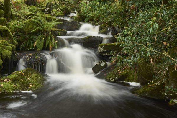 Image of a Dartmoor Stream, Dartmoor