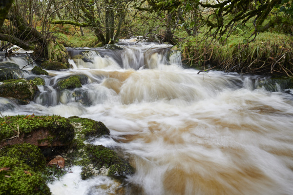 Image of a Dartmoor Stream, Dartmoor