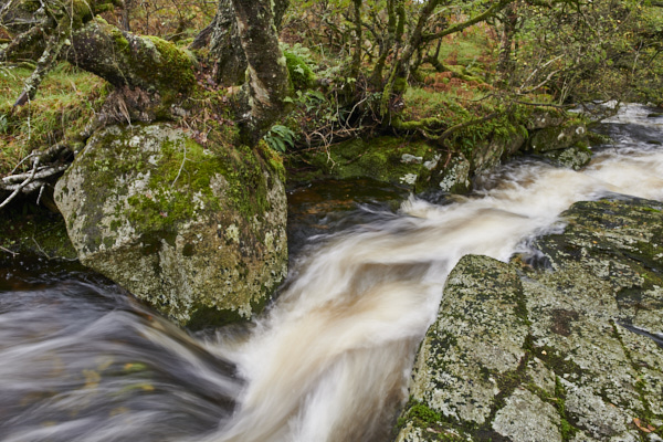 Image of a Dartmoor Stream, Dartmoor