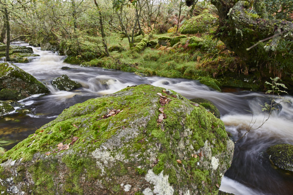 Image of a Dartmoor Stream, Dartmoor