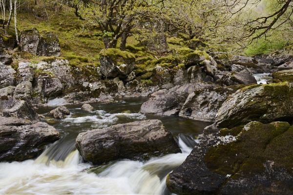 Image of 