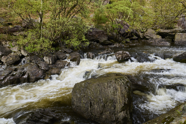Image of 