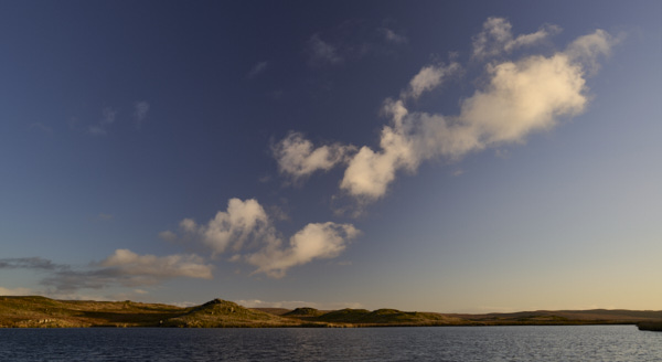 Image of 