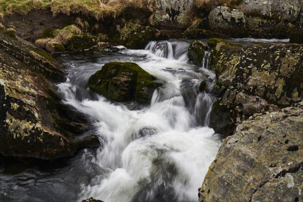Image of 