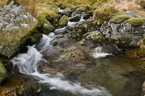 Image of 