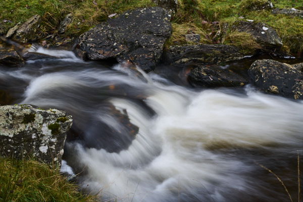Image of 