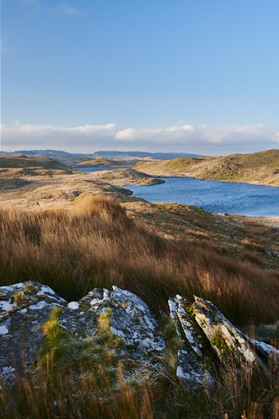 Image of a reservoir