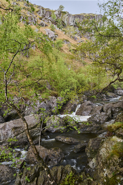 Image of 