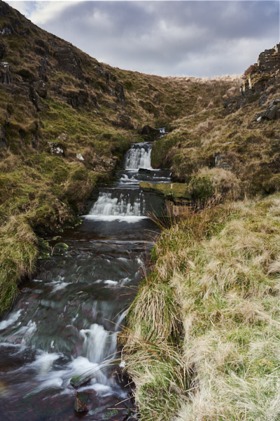 Image of 