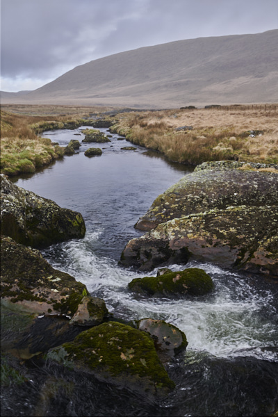 Image of 