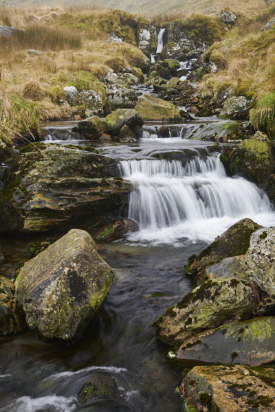 Image of 
