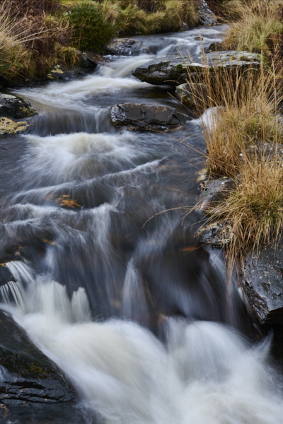 Image of 
