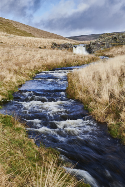 Image of 