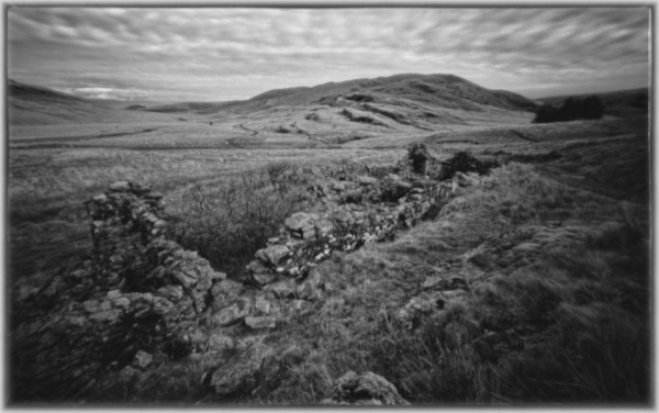 Image of 