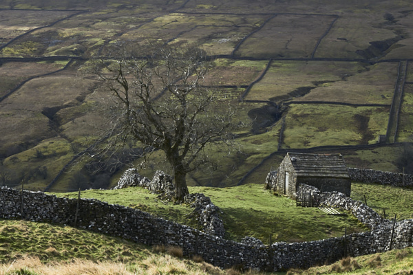 Image of Yorkshire Dales