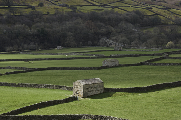 Image of Yorkshire Dales