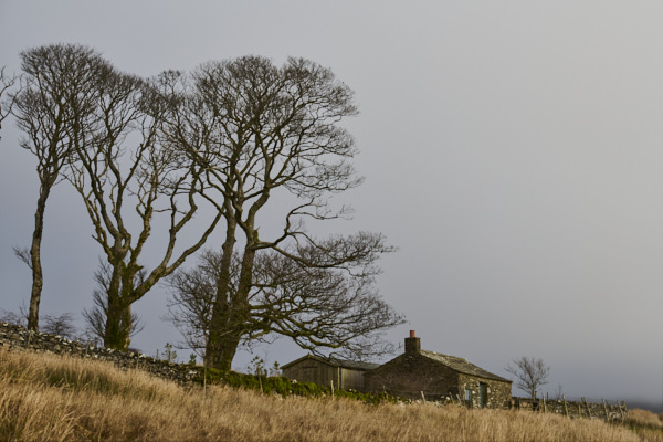 Image of Yorkshire Dales