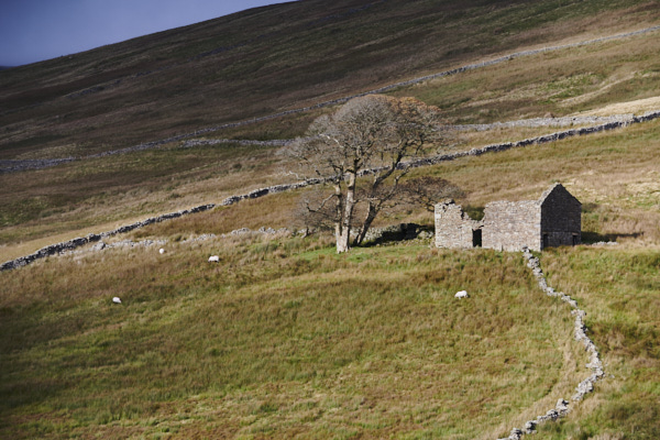 Image of Yorkshire Dales