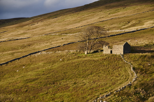 Image of Yorkshire Dales
