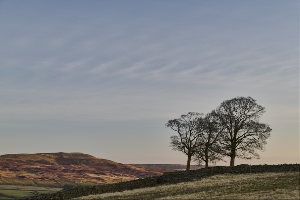 Image of Yorkshire Dales
